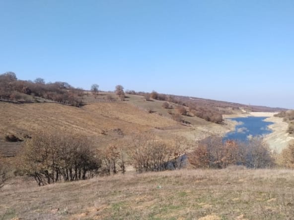 WhatsApp Görsel 2025-02-07 saat 14.46.09_cb3da750