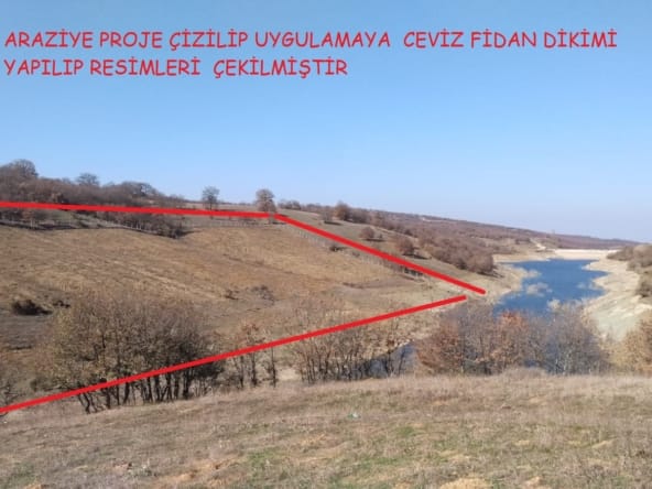 WhatsApp Görsel 2025-02-07 saat 14.46.09_d98c1542.jpg MMM